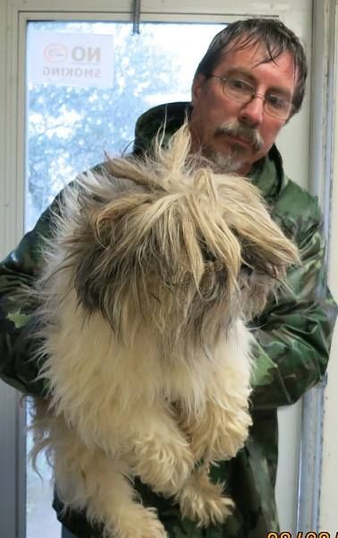 puppy_mill30.jpg